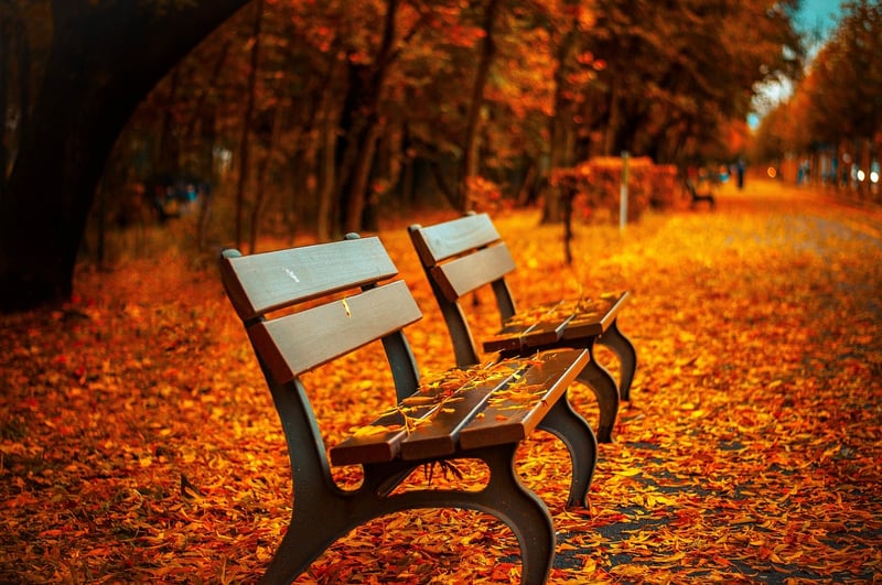 Harmony in Life